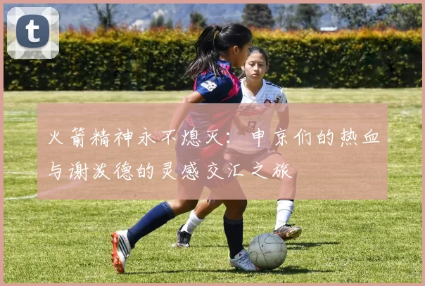 火箭精神永不熄灭：申京们的热血与谢泼德的灵感交汇之旅