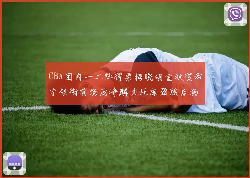 CBA国内一二阵得票揭晓胡金秋贺希宁领衔前场庞峥麟力压陈盈骏后场